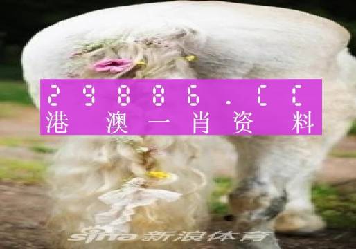 数码 第959页