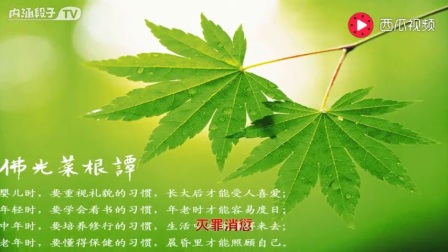 杨枝净水赞注音最新