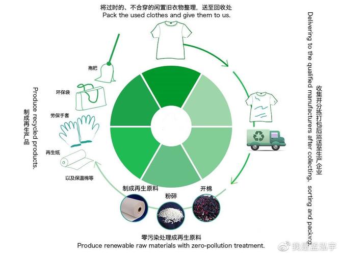 最新环保理念下的环的种类图片大全