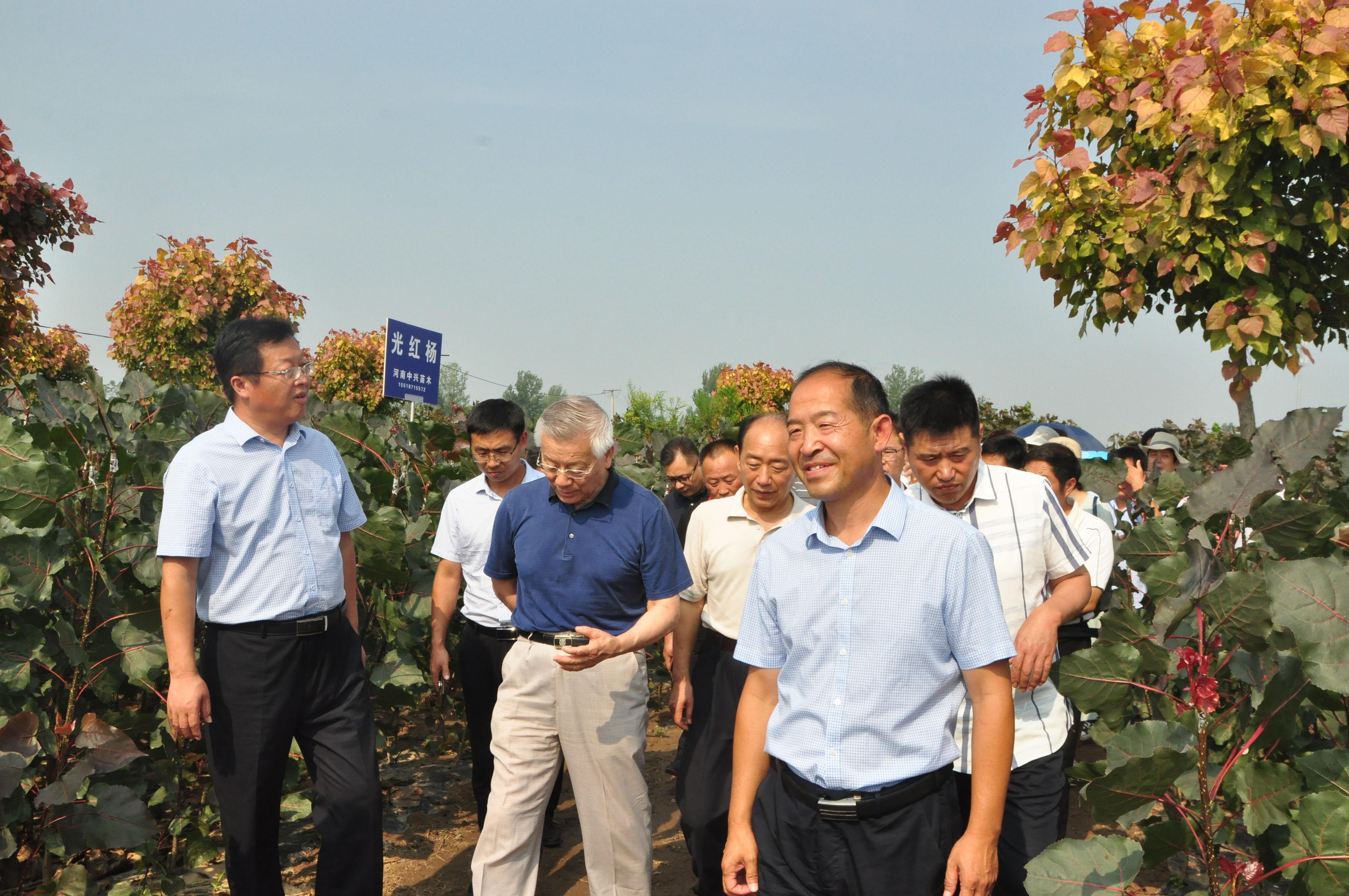 河南最新苗木求购信息及其相关市场分析