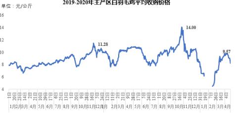 白羽鸡最新价格行情分析