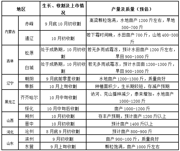 全国葵花价格最新行情分析