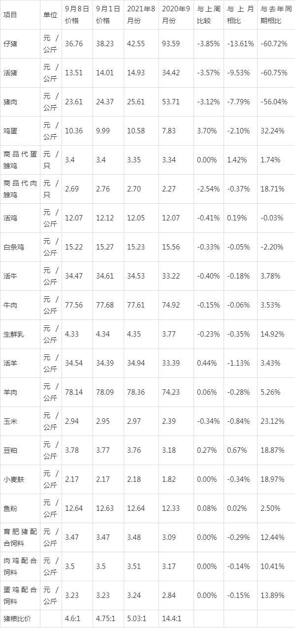 山东德州最新毛猪价格动态分析