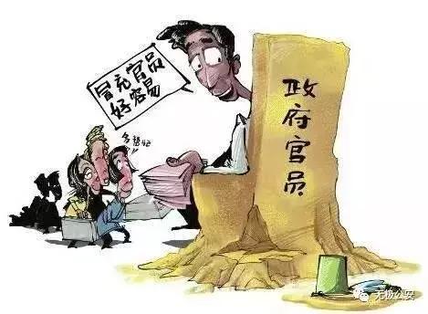 无极环保局最新动态，推动环境保护事业迈向新高度