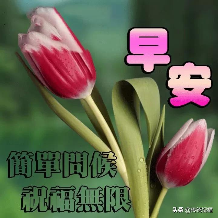 最新早安动态图片大全，唤醒美好一天的视觉盛宴